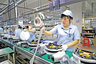 發現龍華之美 產業園區中科技的魅力無限